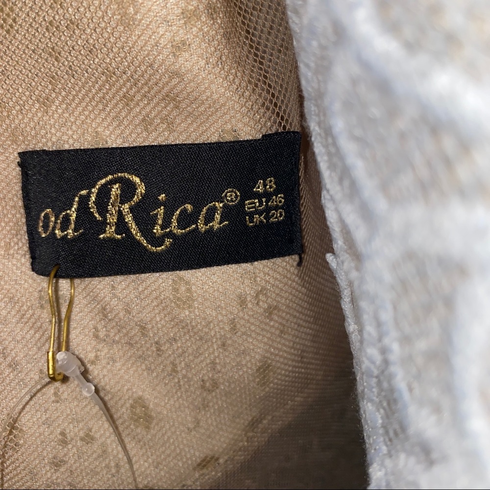 NEW Od Rica Silver Champagne Crystal Sparkling Rhinestone Wedding Evening Dress - Picture 8 of 16